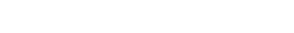 Vortex Economics