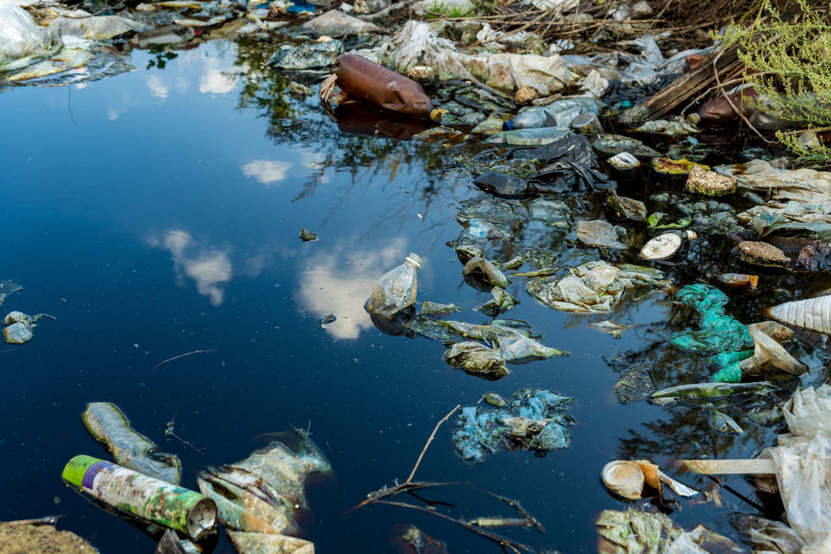 From Pollution Havens to Green Havens: When Environmental Standards Help Countries Become More Competitive